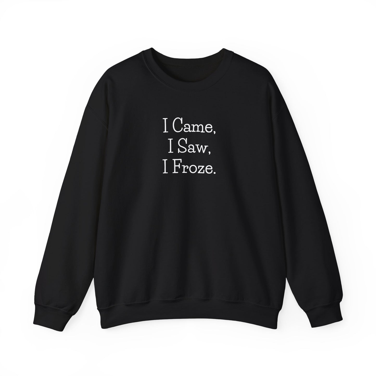 I Came I Saw I Froze Sweatshirt