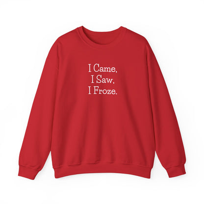 I Came I Saw I Froze Sweatshirt